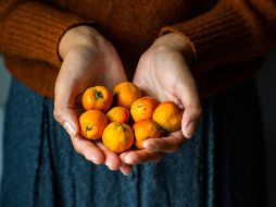 Para la temporada de frío se recomienda el consumo del tejocote gracias a que fortalece el sistema inmune. Freepik