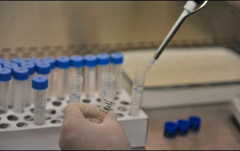 El alcance de esos fármacos se está ampliando “de formas que sus inventores no podían imaginar”. EFE / ARCHIVO