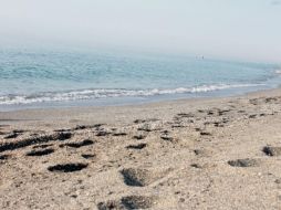 Cofepris informó que 254 playas estudiadas de 16 estados del territorio nacional, únicamente seis excedieron los límites máximos de 200 enterococos. Unsplash.