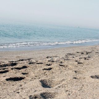 Seis playas no pasaron la prueba de Cofepris para estas vacaciones de invierno