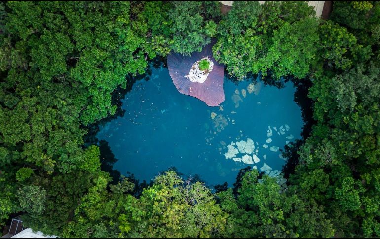 La Unidad de Ciencias del Agua del Centro de Investigación Científica de Yucatán (CICY) realizan estudios para determinar la cantidad y tipo de microplásticos presentes en el agua de la Península de Yucatán. Unsplash.