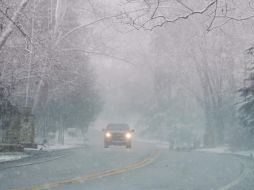 La policía de Guilford, Connecticut, indicó que un árbol cayó sobre una patrulla policial, pero el agente no resultó herido. AP / J. CORTEZ