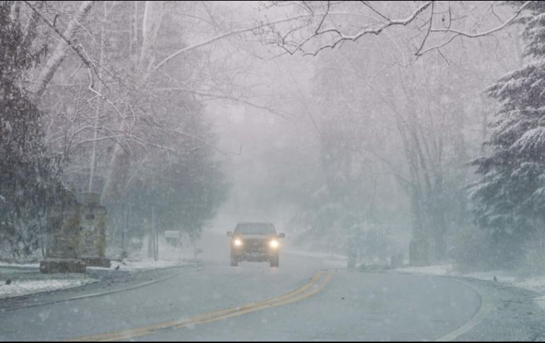 La policía de Guilford, Connecticut, indicó que un árbol cayó sobre una patrulla policial, pero el agente no resultó herido. AP / J. CORTEZ
