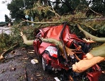 El temporal afectó principalmente al AMBA (Área Metropolitana de Buenos Aires). EFE/ J. Roncoroni
