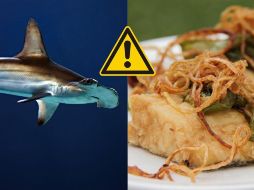 De acuerdo con el análisis que hizo Oceana del ADN del supuesto Bacalao, encontraron siete especies distintas. UNSPLASH / D. Clode / Pixabay