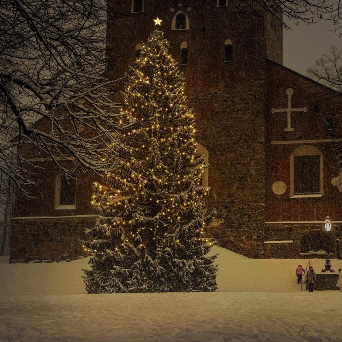 Te presentamos los árboles de Navidad más bonitos del mundo