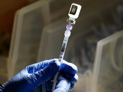 Al no contener virus vivos ni genoma completo, la vacuna no tiene capacidad replicativa y no puede producir COVID. AP / ARCHIVO