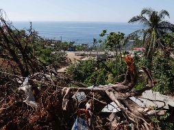 El pasado 20 de diciembre, la gobernadora de Guerrero, Evelyn Salgado, actualizó las cifras a 52 muertos y 32 desaparecidos tras el paso del huracán 