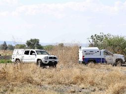 Los 5 jóvenes encontrados sin vida en la comunidad de Crespo eran estudiantes de la Universidad Latina de México campus Celaya. SUN / V. Rosas