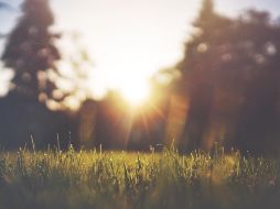 Cuando el Sol está cerca del equinoccio se mueve muy rápido, semana con semana, pero cuando está en los solsticios, tanto de verano como de invierno, casi no se mueve. UNSPLASH /  J. Givens