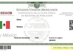 La CURP está conformada de 18 elementos de un código alfanumérico. ESPECIAL