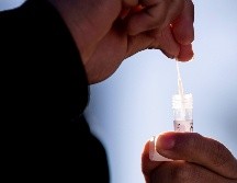 Para abordar esta creciente amenaza, la OMS publicó una lista de 19 hongos prioritarios que representan la mayor amenaza para la salud pública. EFE / ARCHIVO