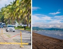 Puerto Vallarta es uno de los destinos por excelencia que se viene a la cabeza de cualquier tapatío o tapatía en el momento de tener días libres o cuando el bello momento de tomar vacaciones llega. NTX / ARCHIVO