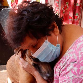 ¿Qué medidas tomar para cuidar a tus mascotas en invierno?