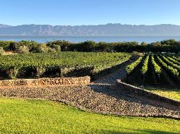 Finca La Estramancia. ESPECIAL/JALISCO ES MÉXICO.