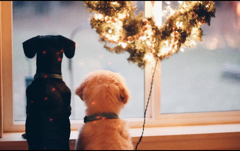 En esta temporada de frío un suéter, abrigo, una cama, cobija o manta es una buena opción. UNSPLASH / L. Snipes