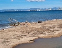 Habitantes de Puerto Vallarta dicen que es común ver cocodrilos en el Río Cuale. EL INFORMADOR / O. Álvarez