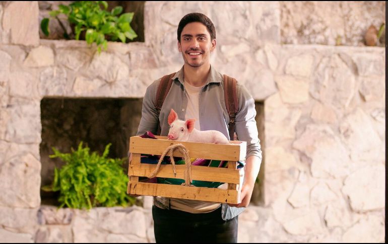 El niñero ha sido un éxito ¿tendremos segunda parta de la miniserie de Netflix?