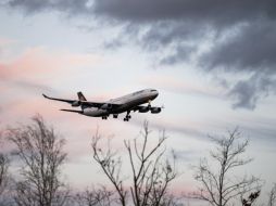 La abuela recibió una llamada de su nieto desde el aeropuerto de Orlando, informándole que había aterrizado allí. Pixabay