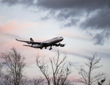 La abuela recibió una llamada de su nieto desde el aeropuerto de Orlando, informándole que había aterrizado allí. Pixabay