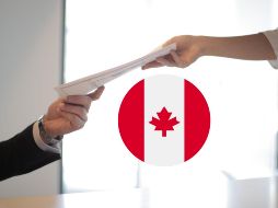 El empleo es para el puesto de “farm supervisor”, en español, supervisor de granja. Pexels