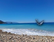 Las ballenas comienzan a aparecer en Puerto Vallarta, poco a poco, desde noviembre y hasta marzo. EL INFORMADOR / O. Álvarez