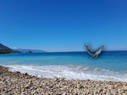 Las ballenas comienzan a aparecer en Puerto Vallarta, poco a poco, desde noviembre y hasta marzo. EL INFORMADOR / O. Álvarez