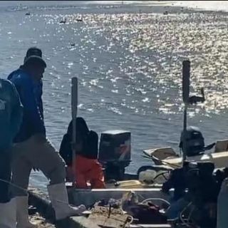 Tiburón ataca y mata a joven pescador en playa de Sonora