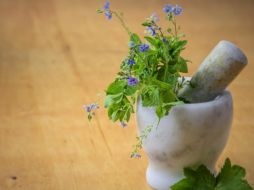 En esta época invernal, es común que muchas personas sufran de gripe y tos, lo que a menudo requiere un descanso para recuperarse. Pixabay