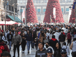 La alcaldía informó que miles de personas han acudido al Jardín Hidalgo para disfrutar del Belén.  SUN