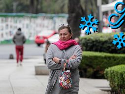 Clima en México: Algunos lugares de México esperan heladas, según el pronóstico. SUN / ARCHIVO