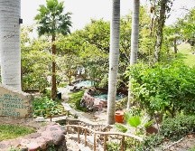 Monte Coxala es una de las opciones para renovar energía. ESPECIAL/JALISCO ES MÉXICO.