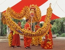 El año nuevo chino será del dragón; habrá que esperarlo unas semanas más, pero te puedes ir preparando. ESPECIAL / PEXELS Thuong D