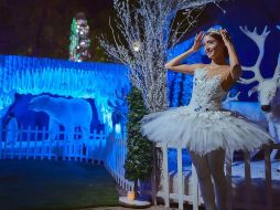 Esta es la última semana en la que el parque temático navideño permanecerá abierto. ESPECIAL / Sueño Mágico