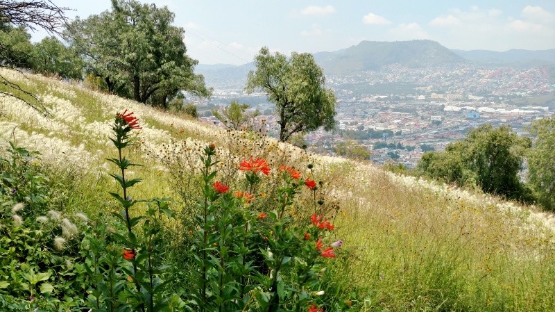Especial / Gobierno de México&nbsp;
