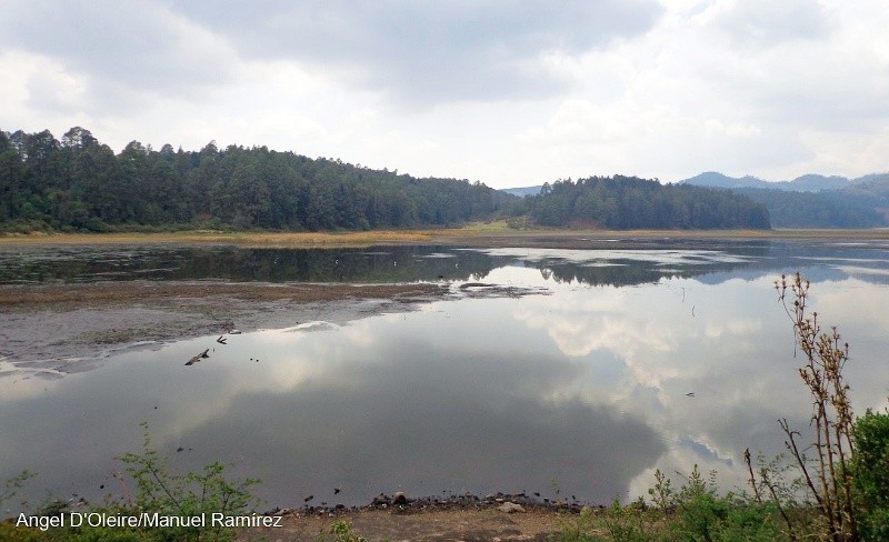 Especial / Gobierno de México&nbsp;