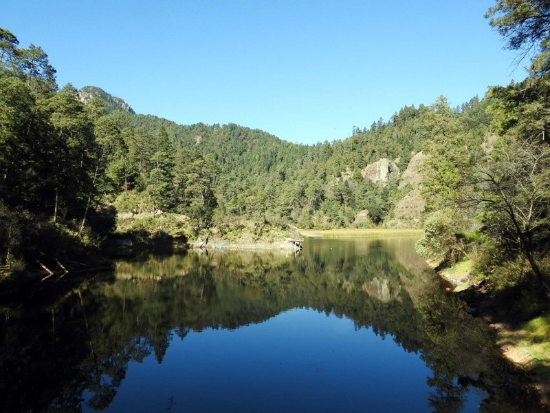 Especial / Gobierno de México&nbsp;