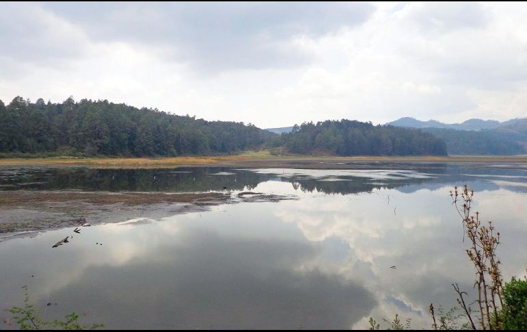 El Estado de México es la región que más parques acumula en su territorio. ESPECIAL / Gobierno de México