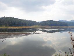 El Estado de México es la región que más parques acumula en su territorio. ESPECIAL / Gobierno de México