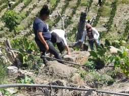 Se trata de varias osamentas encontradas en un paraje conocido como “Paso de Guadalupe”. ESPECIAL