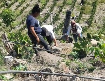 Se trata de varias osamentas encontradas en un paraje conocido como “Paso de Guadalupe”. ESPECIAL