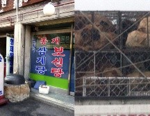 En el caso de Corea del Sur, el Parlamento decidió este martes ilegalizar a partir de 2027 la cría y venta de perro para consumo humano. EFE / ARCHIVO