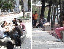 El Observatorio Laboral (OLA) ofrece información importante que te pueden colaborar en elegir la mejor carrera universitaria. EL INFORMADOR / ARCHIVO