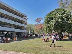 Algunas carreras tienen un alto promedio de ingresos mensuales. EL INFORMADOR/ARCHIVO