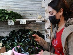 El chile poblano acumuló un incremento de 62.87% en su precio a lo largo del año 2023. EL INFORMADOR/Archivo
