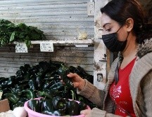 El chile poblano acumuló un incremento de 62.87% en su precio a lo largo del año 2023. EL INFORMADOR/Archivo