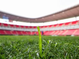 El arribo de Cowell servirá para que Chivas refuerce la posición de volante por izquierda, misma en donde solía desempeñarse Alexis Vega en torneos anteriores. IMAGO7