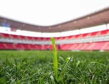 El arribo de Cowell servirá para que Chivas refuerce la posición de volante por izquierda, misma en donde solía desempeñarse Alexis Vega en torneos anteriores. IMAGO7