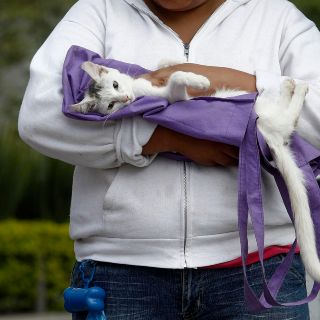 ¿Cómo proteger a tus mascotas de las bajas temperaturas?