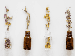 Muchas de estas hierbas se pueden cultivar en casa y convertirse en un alivio no sólo a la economía, sino a la salud. ESPECIAL/FREEPIK